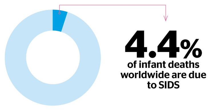 This image has an empty alt attribute; its file name is image-32.png